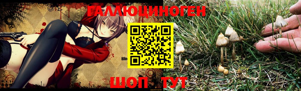 Галлюциногенные грибы MAGIC MUSHROOMS  Вход с VPN  Тихорецк 